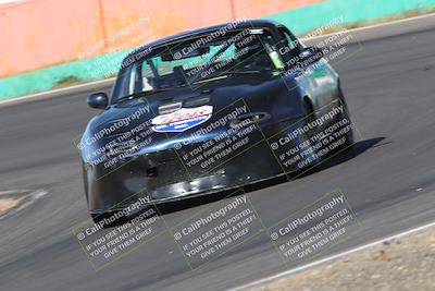 media/May-04-2024-Lucky Dog Racing (Sat) [[d39539b3f3]]/Practice I Qualifying (Turn 4a)/